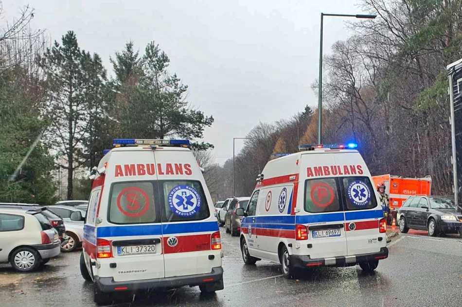 Zderzenie aut na DW 965, dwie osoby w szpitalu - zdjęcie 4