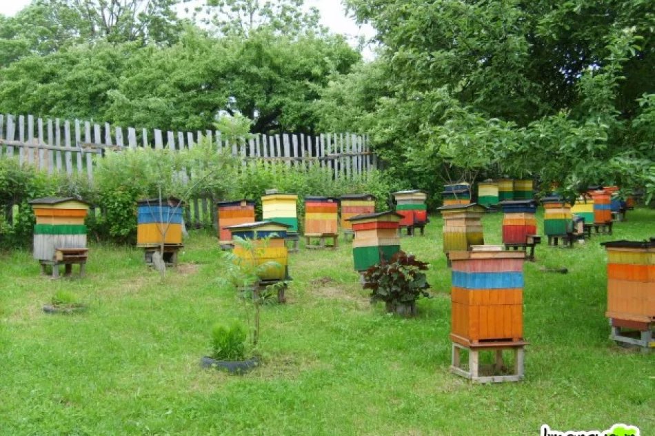 Kraina miodem płynąca - zdjęcie 2