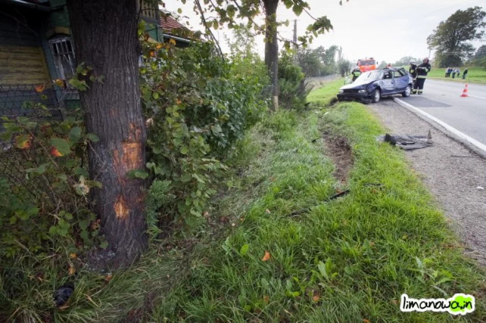 Uderzył w dwa drzewa - zdjęcie 2