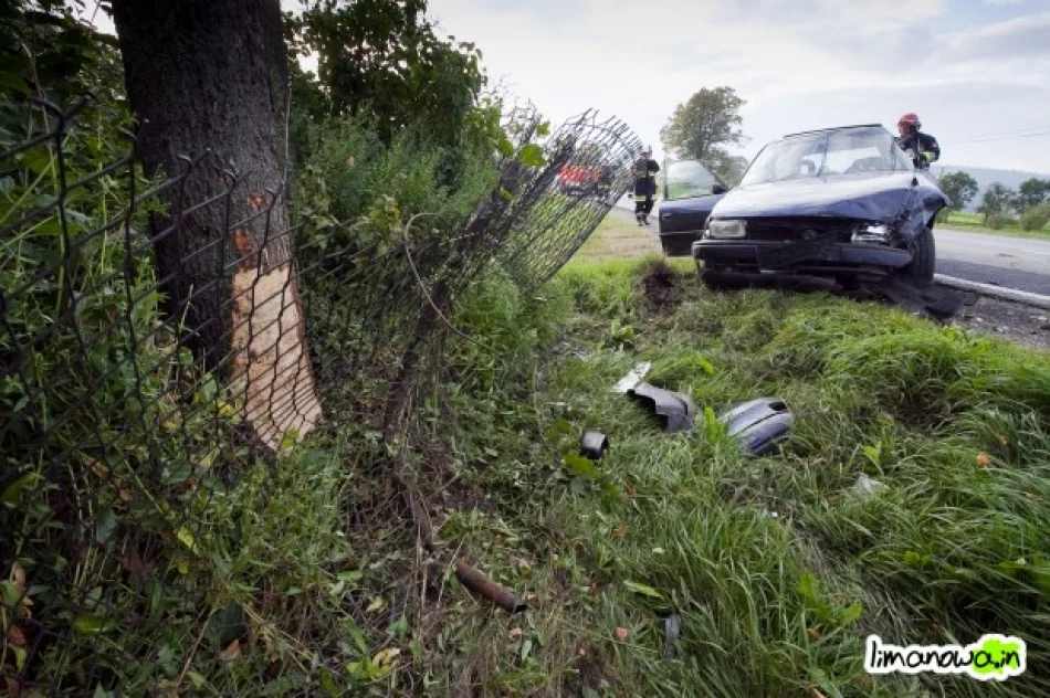 Uderzył w dwa drzewa - zdjęcie 3