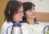Wojewoda wygasza mandat Niebylskiej - zdjęcie główne