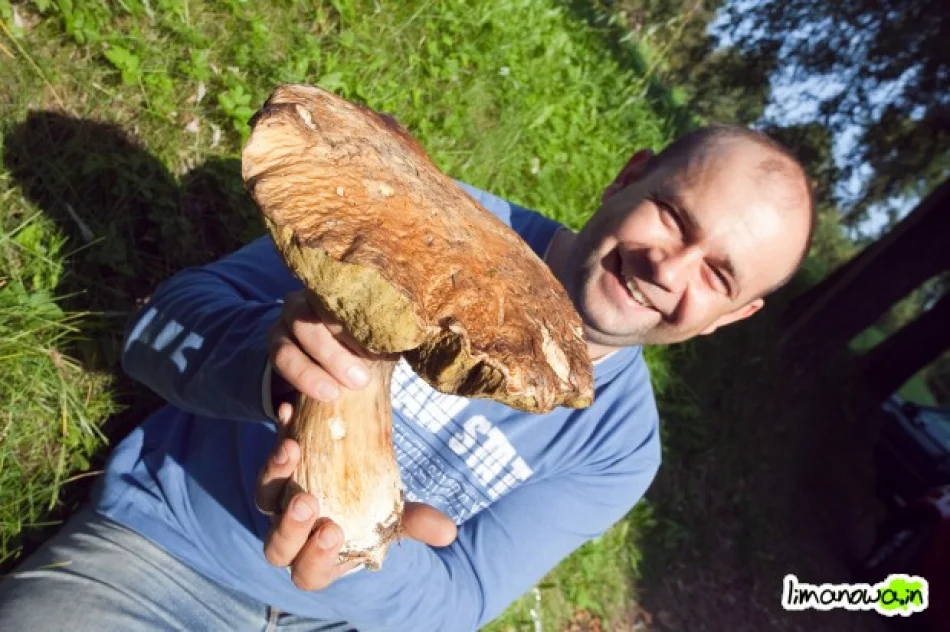 W sklepach brakuje suszarek - zdjęcie 2