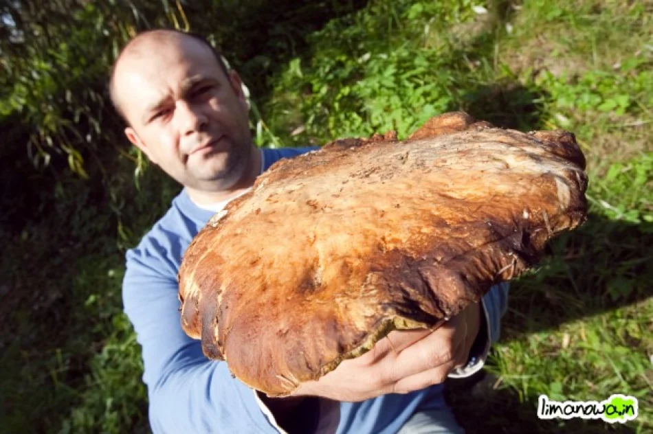 W sklepach brakuje suszarek - zdjęcie 3