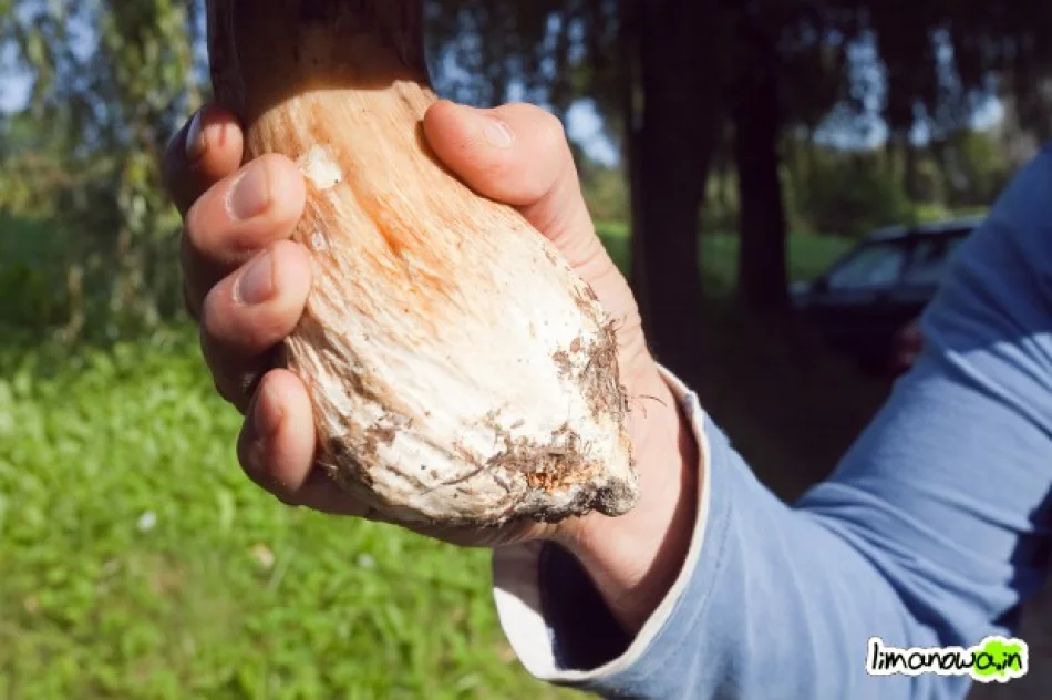 W sklepach brakuje suszarek - zdjęcie 4