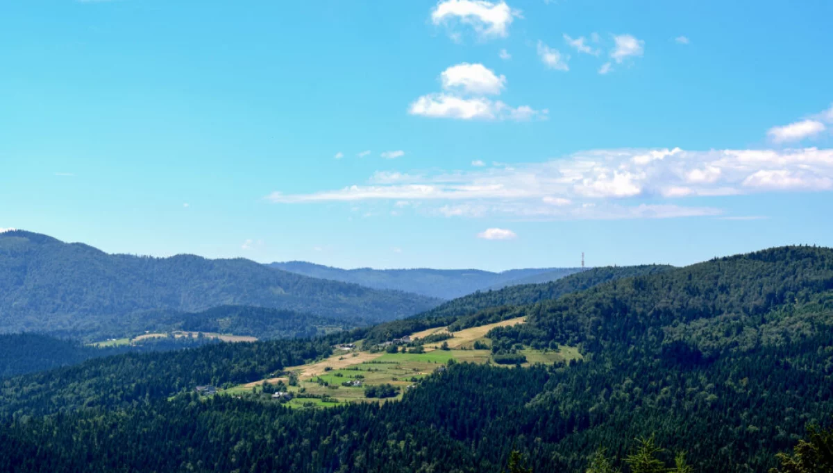 Widok na zrzutowisko w Szczawie/fot.: Szlak AK na Ziemi Limanowskiej