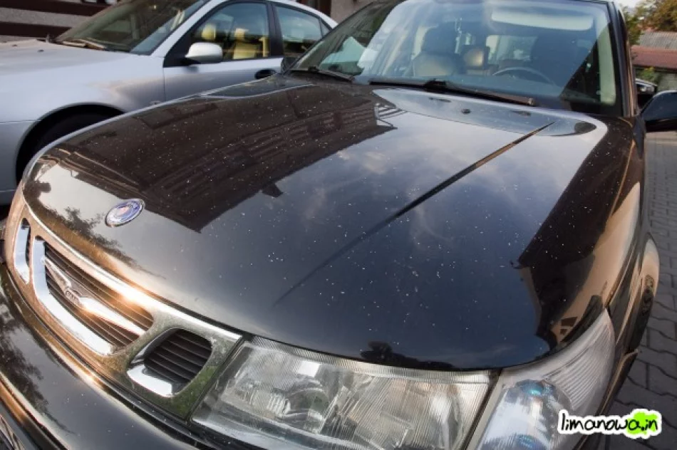 Wdychają wełnę mineralną - zdjęcie 2