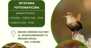 „Przyrodnicza historia Gorców”  - zdjęcie 2