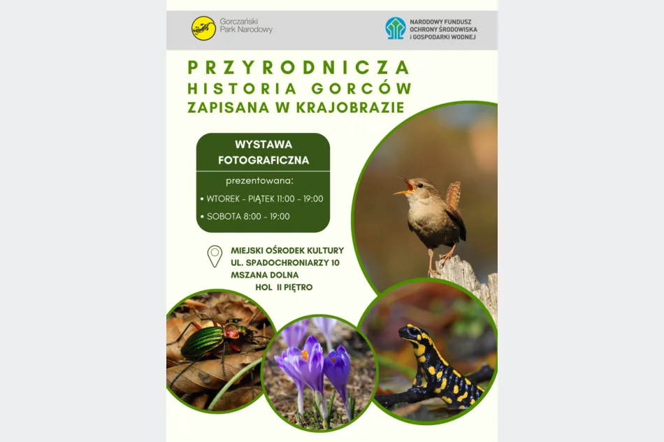 „Przyrodnicza historia Gorców”  - zdjęcie 2
