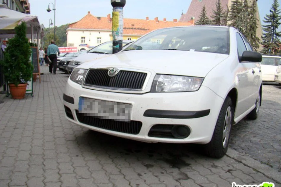 Parkingowych zastąpią parkomaty? - zdjęcie 4