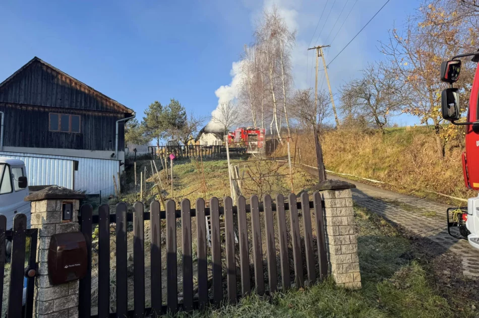 Przed świętami zostali bez dachu nad głową - zdjęcie 3
