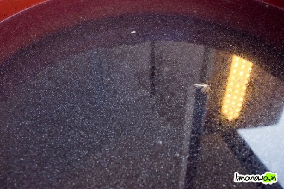 Osiedle i radiowozy pomalowane farbą - zdjęcie 2