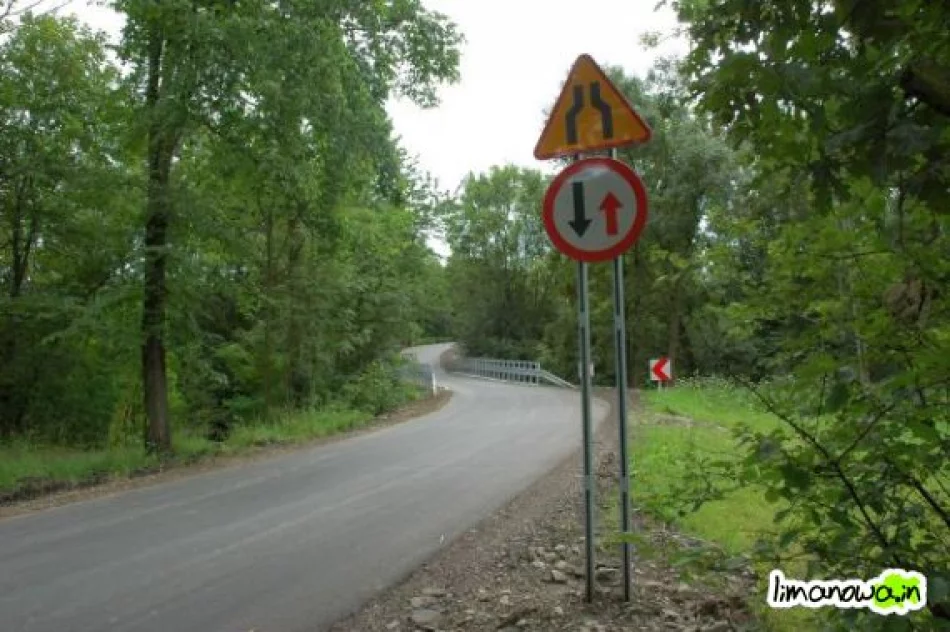 Schetynówka gotowa - zdjęcie 3