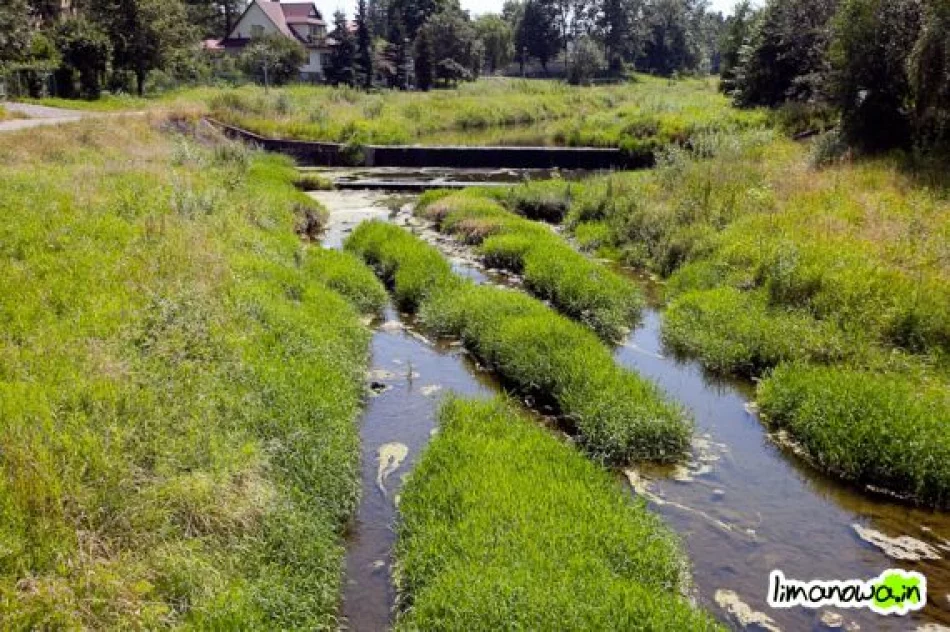 Groźne zarastające potoki - zdjęcie 2