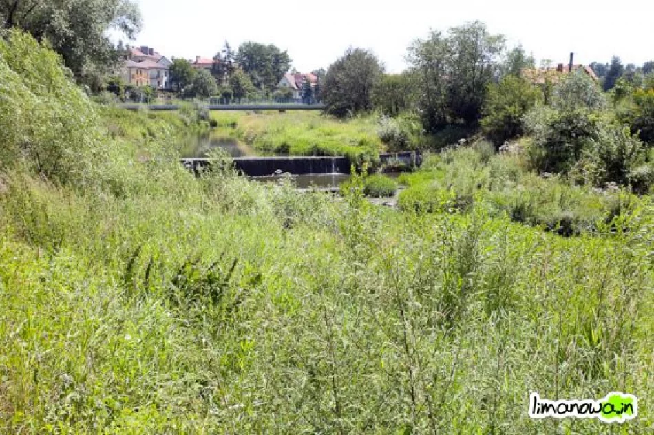 Groźne zarastające potoki - zdjęcie 3