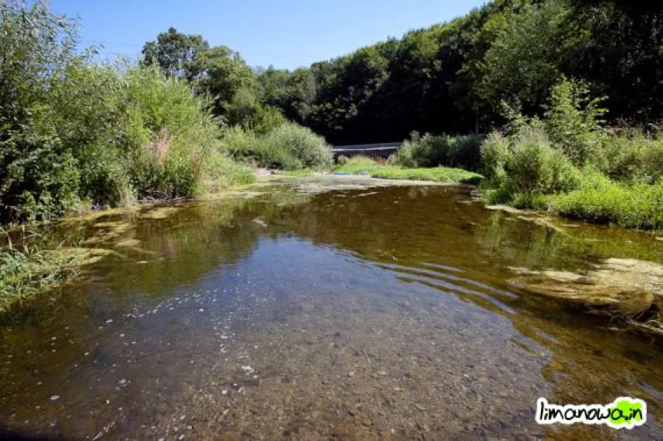 Groźne zarastające potoki - zdjęcie 4