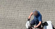 Ma “gołębie serce” i… uprzykrza życie sąsiadom - zdjęcie 3