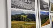 O przyrodniczej historii Gorców - zdjęcie 3