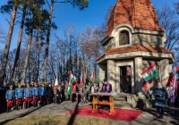 Obchody 110. rocznicy Bitwy Limanowskiej - zdjęcie główne