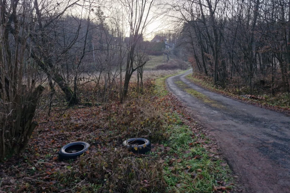 Nielegalne wysypiska śmieci wciąż problemem - zdjęcie 3