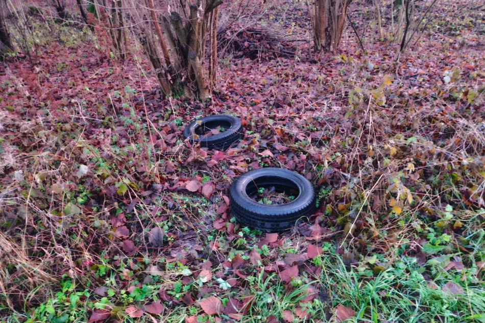 Nielegalne wysypiska śmieci wciąż problemem - zdjęcie 4