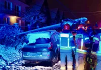 Zerwana linia i uszkodzony samochód. Właściciel prosi o pomoc - zdjęcie główne