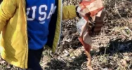 Jesienna akcja sprzątania gminy - zdjęcie 5