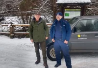 Walczą z kradzieżą choinek - zdjęcie główne