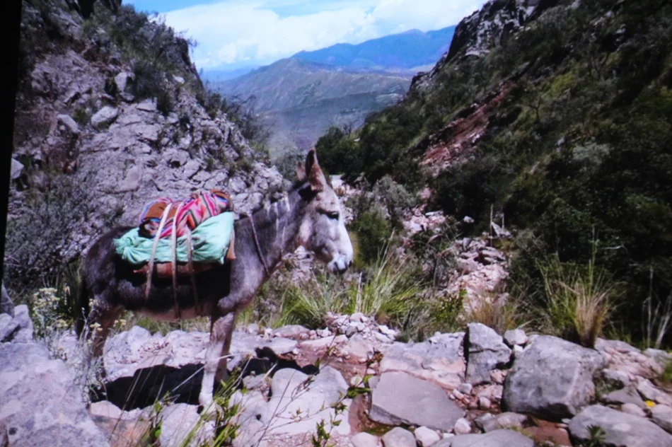 Podróż po Boliwii i Peru w ramach cyklu „Wędrowanie na ekranie” - zdjęcie 7