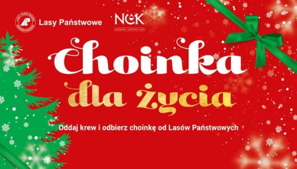 Choinki dla krwiodawców – akcja Nadleśnictwa Limanowa - zdjęcie 1