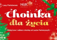 Choinki dla krwiodawców – akcja Nadleśnictwa Limanowa - zdjęcie główne