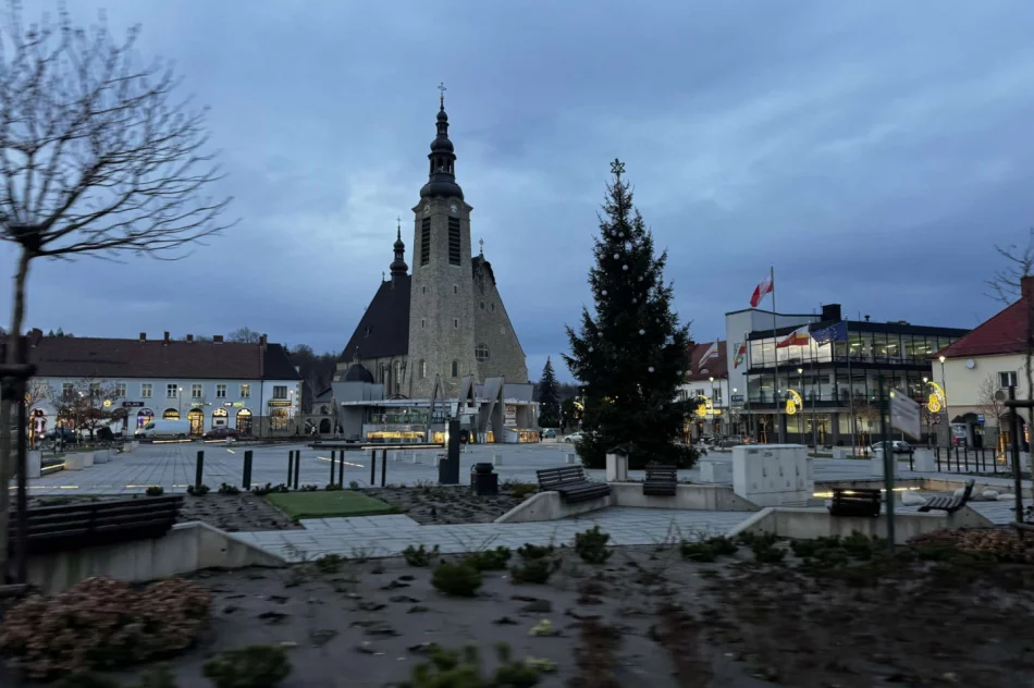 ​Świąteczne ozdoby tylko w centrum miasta - zdjęcie 6