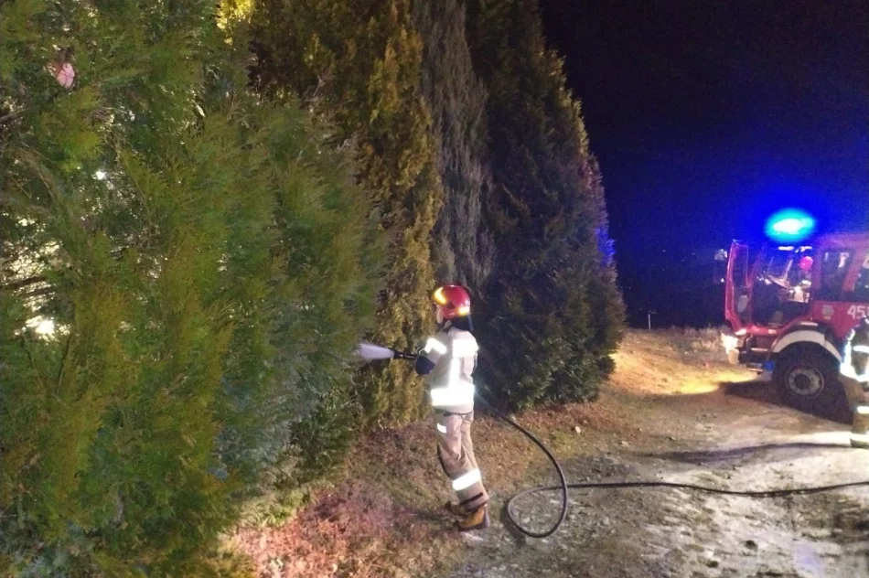 W sylwestrową noc spłonęły tuje przy kaplicy - zdjęcie 3