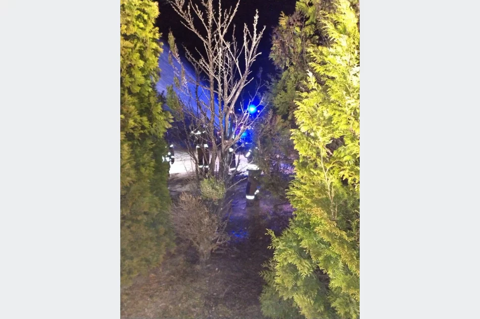 W sylwestrową noc spłonęły tuje przy kaplicy - zdjęcie 4