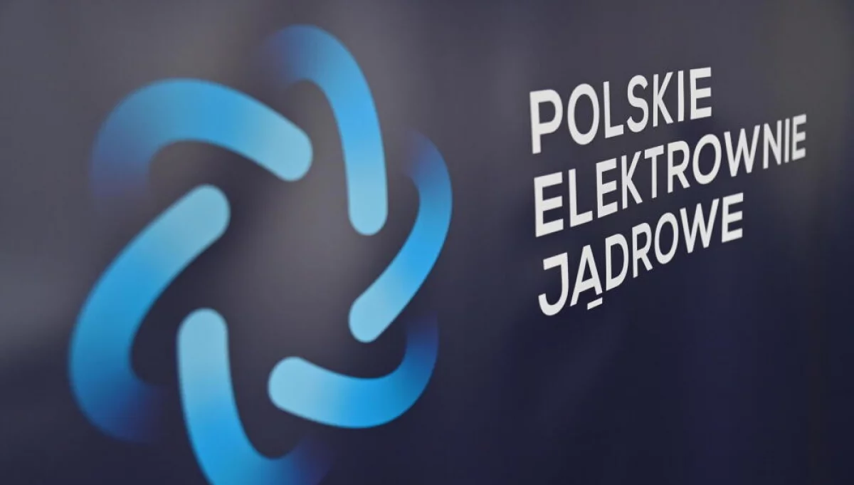  Polskie Elektrownie Jądrowe (PEJ)