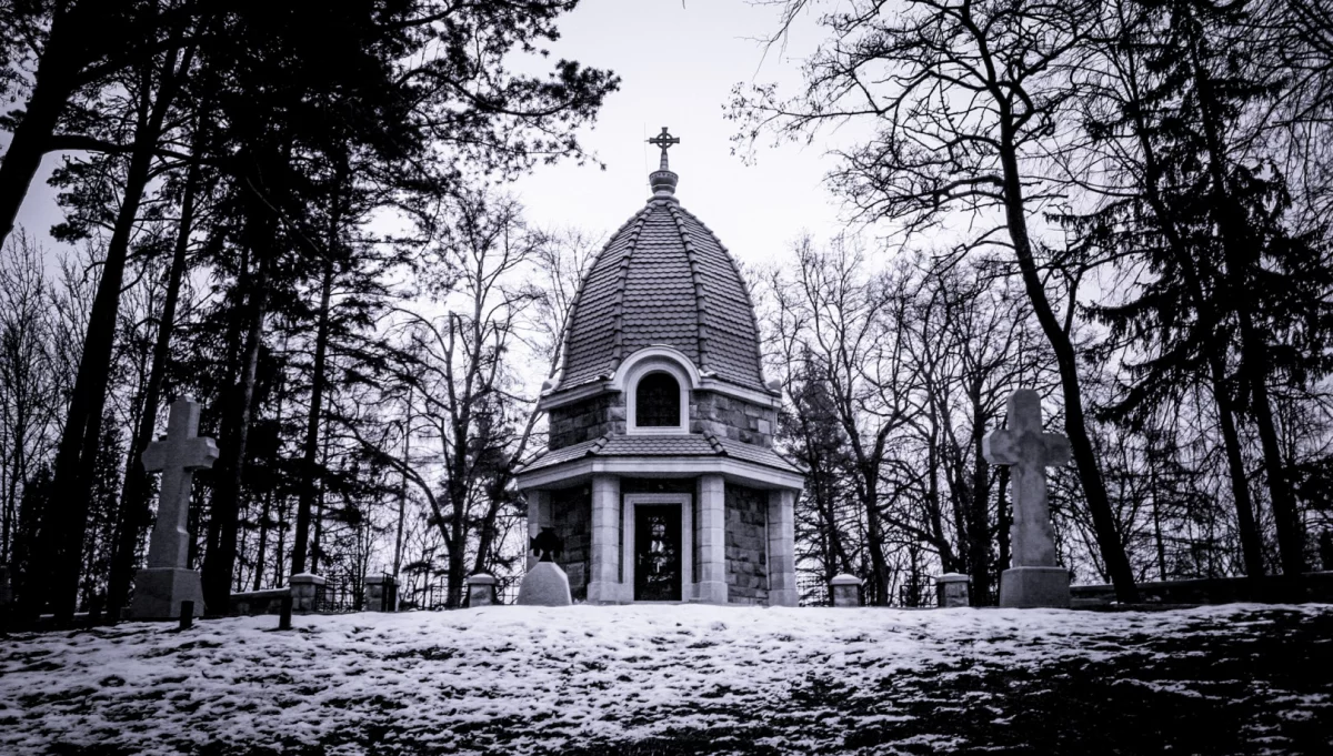 Fot.: Karol Wojtas