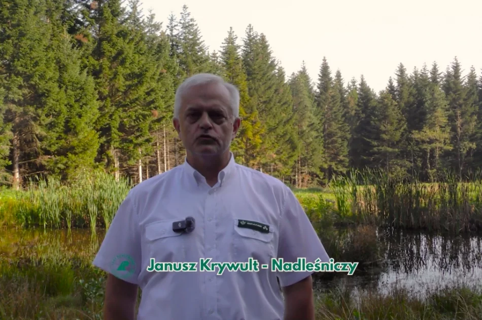 Limanowskie nadleśnictwo w Małopolskim Przewodniku Leśnym (WIDEO) - zdjęcie 3
