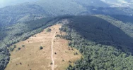 Limanowskie nadleśnictwo w Małopolskim Przewodniku Leśnym (WIDEO) - zdjęcie 4