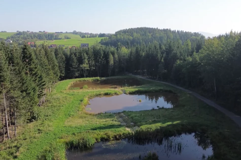 Limanowskie nadleśnictwo w Małopolskim Przewodniku Leśnym (WIDEO) - zdjęcie 7