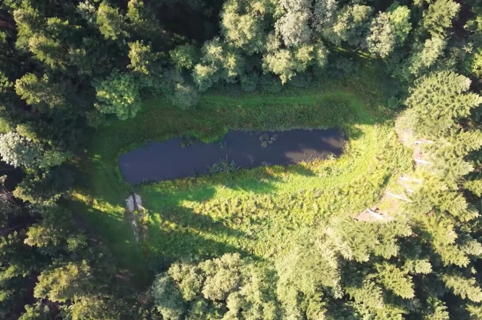 Limanowskie nadleśnictwo w Małopolskim Przewodniku Leśnym (WIDEO) - zdjęcie 8