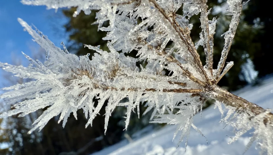 Ostrzeżenie meteorologiczne: marznące opady w powiecie limanowskim - zdjęcie 1