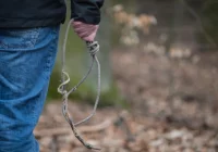 Największy spadek liczby samobójstw w Polsce od 10 lat - zdjęcie główne