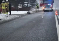 Sprawca śmiertelnego potrącenia uciekł - zdjęcie główne