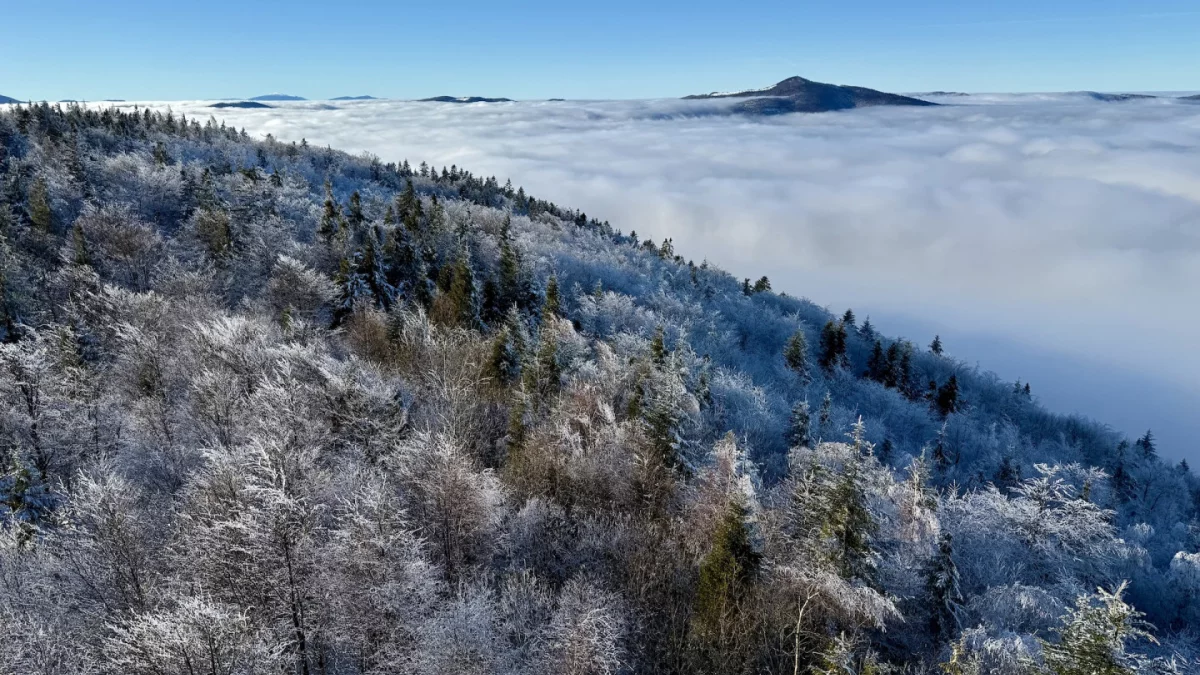 Widok z wieży widokowej na górze Modyń, podczas inwersji, w kierunku Mogielicy (w tle Babia Góra)