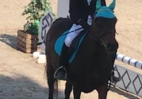 Debiut 12-latki w zawodach jeździeckich - zdjęcie główne