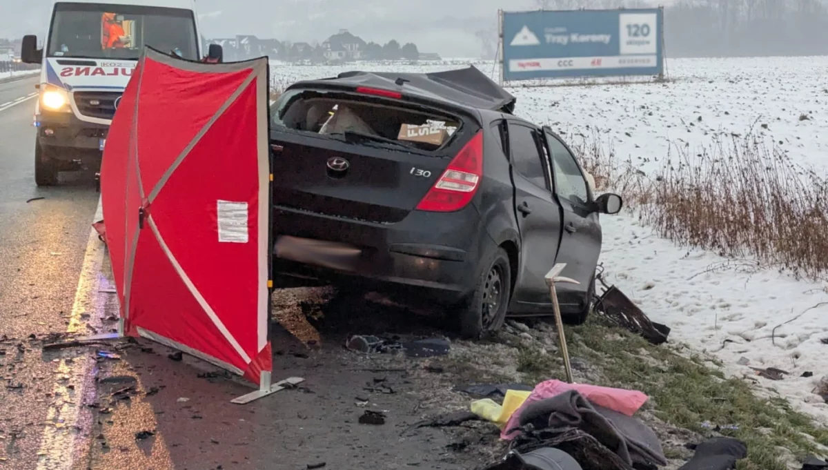Łososina Dolna - śmiertelny wypadek drogowy/fot.: KM PSP Nowy Sącz