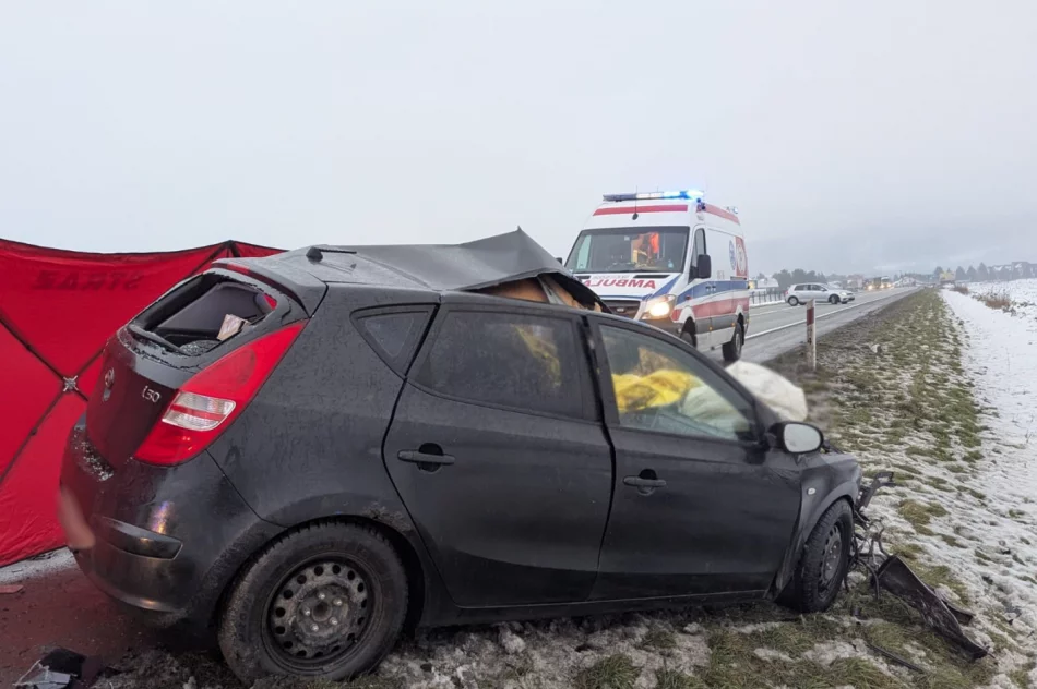 Ważny apel policji: poszukiwani świadkowie tragicznego wypadku - zdjęcie 3