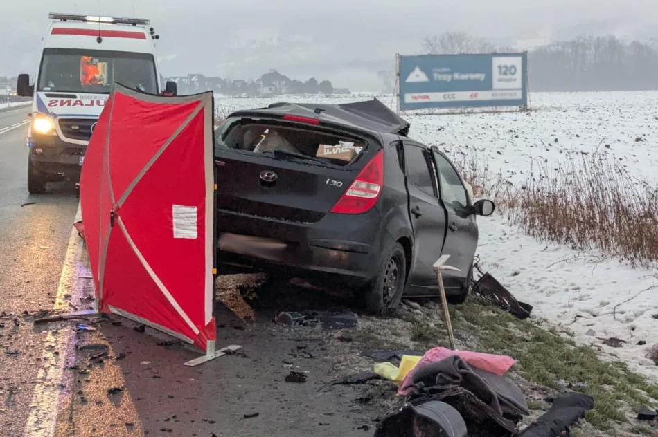 Ważny apel policji: poszukiwani świadkowie tragicznego wypadku - zdjęcie 5