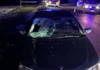 49-letni mężczyzna zginął potrącony przez samochód - zdjęcie główne