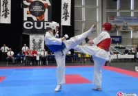 9 medali ARS Klub Kyokushinkai na SARI CUP w Żorach   - zdjęcie główne