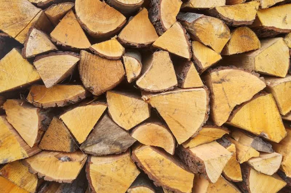 Drewno Kominkowe, Opałowe do Piecy CO cięte na 25cm Olcha PROMOCJA - zdjęcie 1